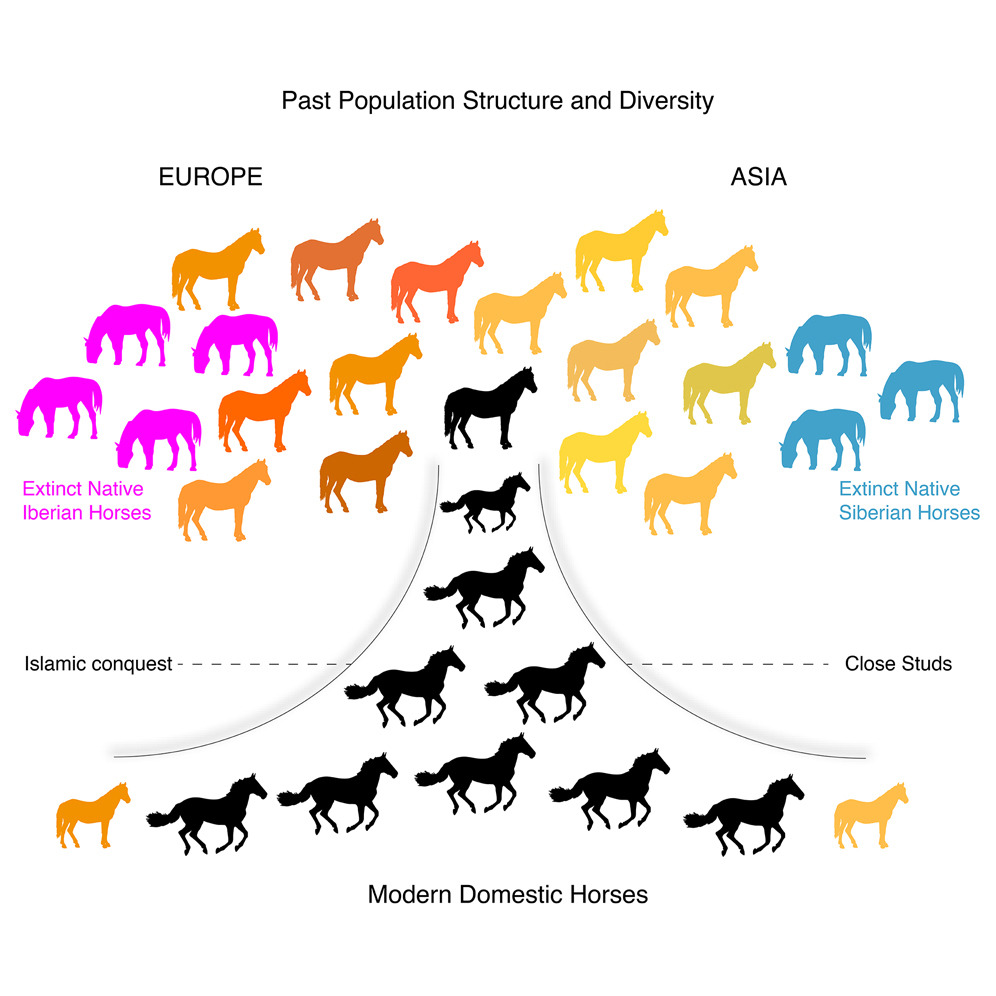 Graphical abstract